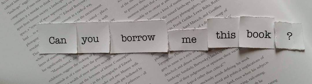 borrow or lend which one is right